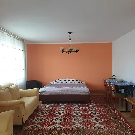 Radhouse Brasov - 50 Minutes From Brasov *