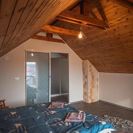 Radhouse Brasov - 50 Minutes From Brasov Persani